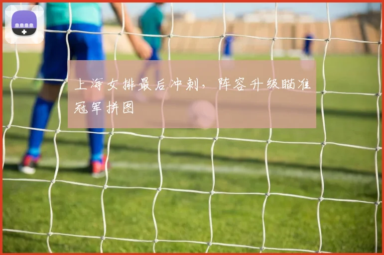 上海女排最后冲刺，阵容升级瞄准冠军拼图