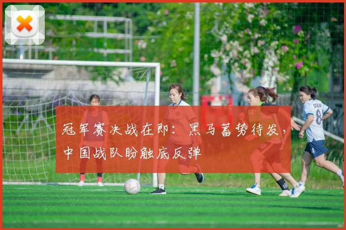 冠军赛决战在即：黑马蓄势待发，中国战队盼触底反弹