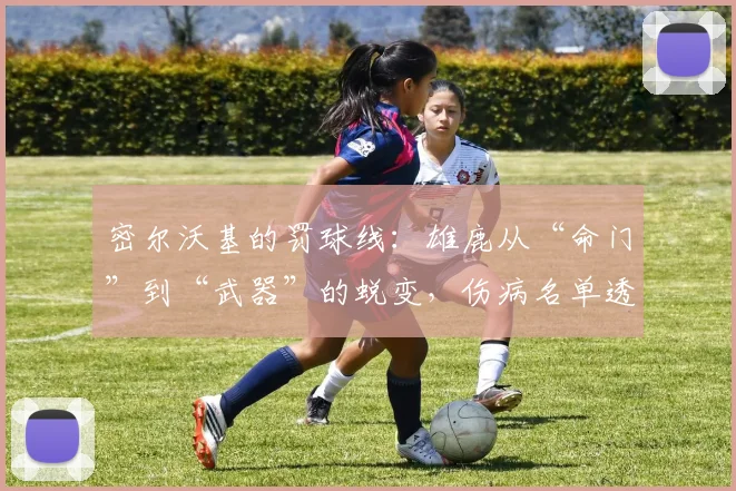 密尔沃基的罚球线：雄鹿从“命门”到“武器”的蜕变，伤病名单透出积极信号